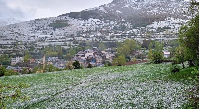 Kop Dağında kar yağışı ve sis etkili oldu