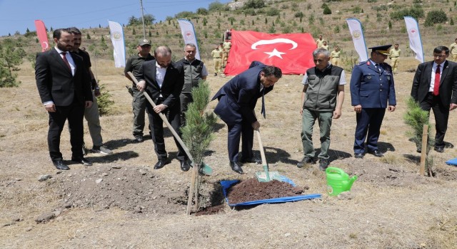 Kütahyada 15 Temmuz şehitleri anısına fidan dikildi