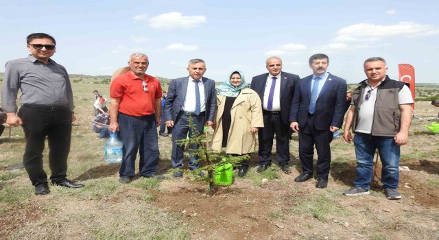 Kütahyada Aile Haftasında Aile Ormanı tesis edildi