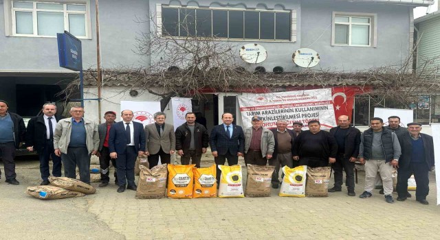 Malkarada yerli ayçiçeği tohumu dağıtımı