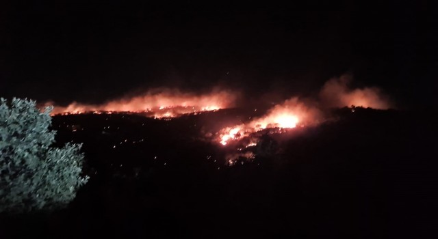 Mardinde ağaçlık alanda çıkan yangın büyüyor