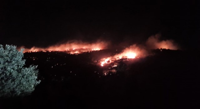 Mardinde gece saatlerinde korkutan yangın kontrol altına alındı