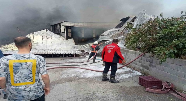 Mersinde narenciye paketleme tesisinde yangın