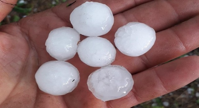 Mersinde yağmur ve dolu bahçelerde zarara yol açtı