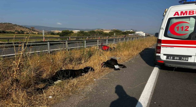 Milasta hayatını kaybeden ünlü Rus fenomen için ülkesinde yardım kampanyası başlatıldı