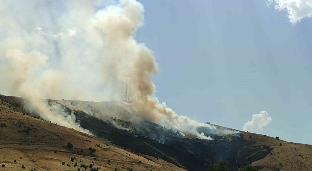 Muşta çıkan örtü yangını kontrol altına alındı