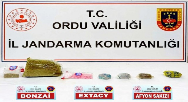 Orduda uyuşturucu operasyonu: 1 tutuklama