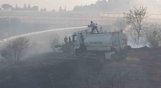 Ormanlık alanda çıkan yangın seralara sıçradı