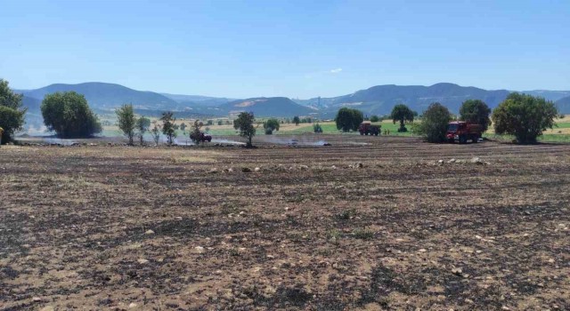 Osmanelide çıkan anız yangını kontrol altına alınarak söndürüldü