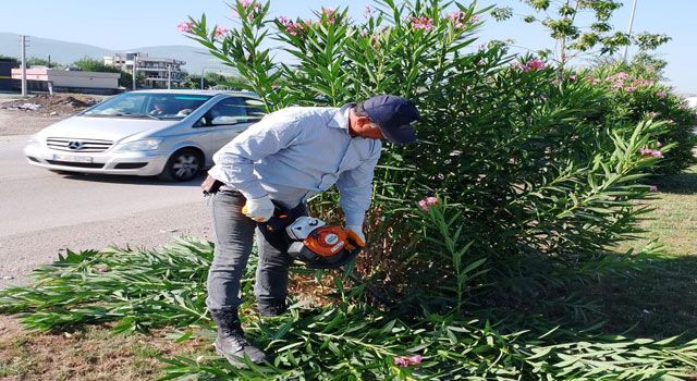 Osmaniye'de Park ve Bahçelerde Çalışmalar Sürüyor