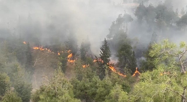 Pamukkaledeki orman yangınında 35 hektar alan zarar gördü