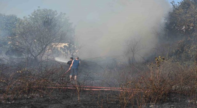 Sakaryada arazi yangını ekipleri harekete geçirdi