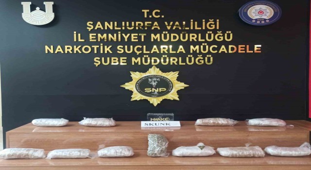 Şanlıurfada 6 kilo 550 gram skunk ele geçirildi