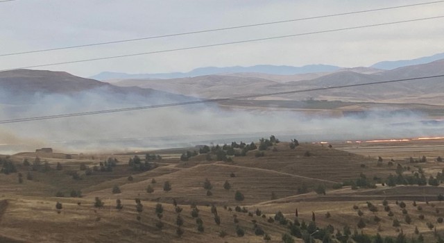 Siirt Havaalanı yakınlarında anız yangını