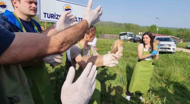 Sinopta yaraları tedavi edilen doğaya salındı