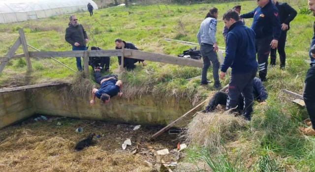 Sulama kanalına düşen köpeği kurtarmaya giderken boğulma tehlikesi geçirdi