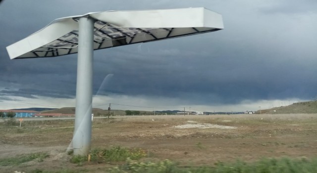 Sungurluda fırtına ağaçları devirdi, toteme zarar verdi