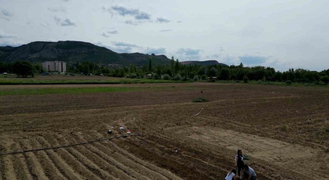 Tokatta tarım arazisi üzerine yapılmak istenen şehir hastanesine tepki