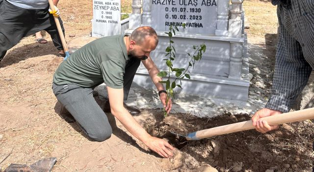 Toprakkale ’de mezarlıklarda ağaçlandırma seferberliği