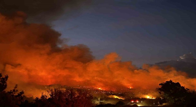 Uşakta ormanlık alana sıçrayan yangına müdahale sürüyor