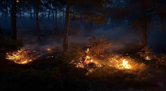 Uşakta ormanlık alanda çıkan yangına müdahale devam ediyor