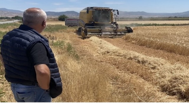 Üzümüyle ünlü Manisanın Alaşehir ilçesinde arpa hasadı başladı