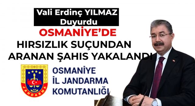 Vali Erdinç Yılmaz: 5 yıl kesinleşmiş cezası bulunan şahıs yakalandı