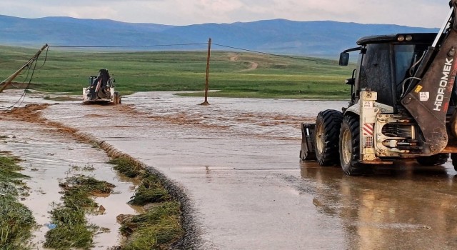 Van Sarayda sel: 2 büyükbaş, 100e yakın küçükbaş hayvan telef oldu