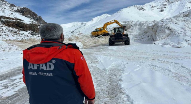 Vanda yetkililer çığ bölgesinde inceleme yaptı