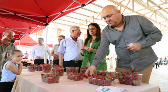 Yatağanda ‘Çilek festivali