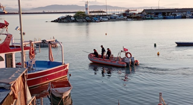 Yolunu şaşıran yavru yunus kurtarıldı