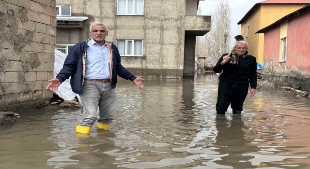 Yüksekovada sağanak yağışta evler sular altında kaldı